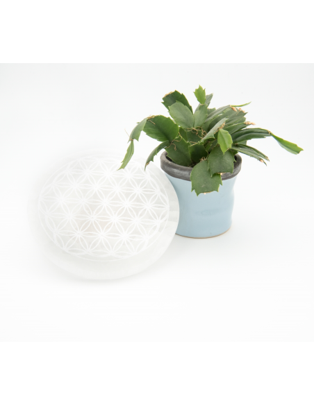 DISQUE SELENITE FLEUR VIE L